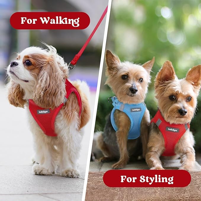 rabbitgoo Small Dog Harness, Step-in Soft Mesh Puppy Vest with Safety Buckle, Breathable Reflective Pet Harness for Extra Small Dogs, Red XXXS