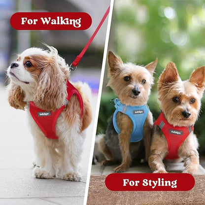 rabbitgoo Small Dog Harness, Step-in Soft Mesh Puppy Vest with Safety Buckle, Breathable Reflective Pet Harness for Extra Small Dogs, Red XXXS