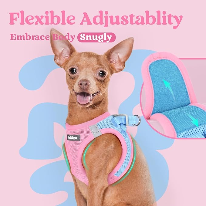 rabbitgoo Small Dog Harness, Step-in Soft Mesh Puppy Vest with Safety Buckle, Breathable Reflective Pet Harness for Large Dogs, Blue & Light Pink XXL