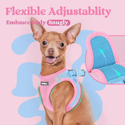 rabbitgoo Small Dog Harness, Step-in Soft Mesh Puppy Vest with Safety Buckle, Breathable Reflective Pet Harness for Small Medium Dogs, Blue & Light Pink XL