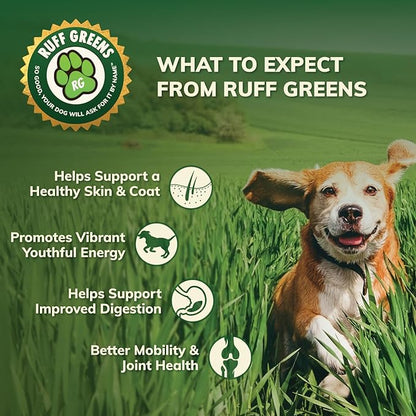 Ruff Greens - Dog Food Topper, Hip & Joint Supplement for Dogs - Probiotics Digestive Enzymes Powder for Mobility Support, Essential Vitamins & Minerals, 6.9 Ounce