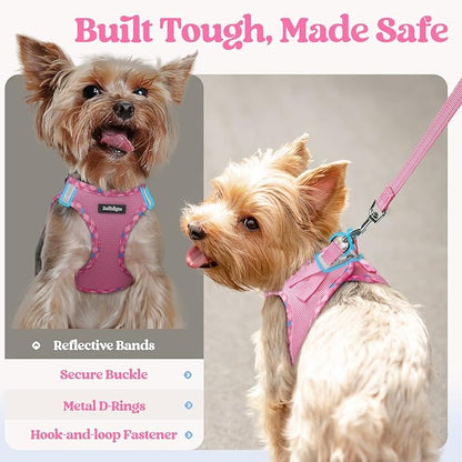 rabbitgoo Dog Harness Small Sized and Leash Set, Step in Soft Light Puppy Vest, Breathable Mesh Pet Harness, Reflective for Safe Easy Walking, Pink & Plaid Trim XS