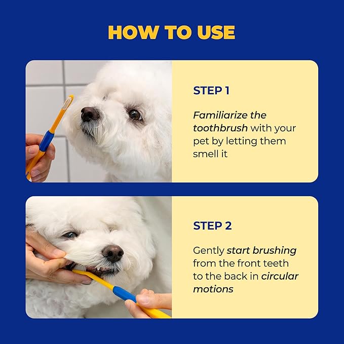 PETHROOM Pet Toothbrush | Dogs and Cats Teeth Brushing Cleaning Tooth Care | Soft Bristle Cleaning Toothbrush for Dog Puppy Cat, Removing Old Plaque and Tartar (Medium)
