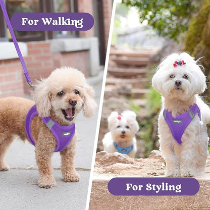 rabbitgoo Small Dog Harness, Step-in Soft Mesh Puppy Vest with Safety Buckle, Breathable Reflective Pet Harness for Small Medium Dogs, Purple L