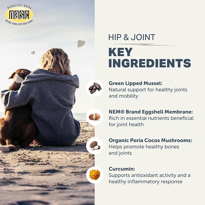 Hip & Joint - Joint Supplement for Dogs with Green Lipped Mussel, Eggshell Membrane and Curcumin - Veterinarian Formulated - 60 Day Large Dog Supply