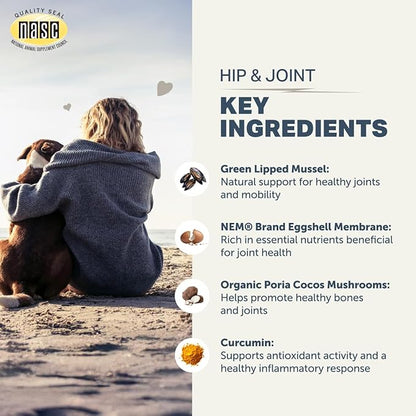 Hip & Joint - Joint Supplement for Dogs with Green Lipped Mussel, Eggshell Membrane and Curcumin - Veterinarian Formulated - 60 Day Large Dog Supply