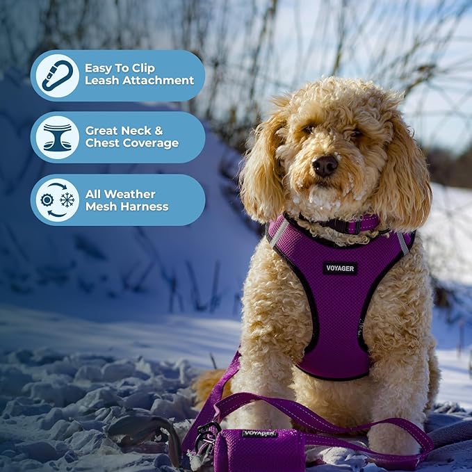 Best Pet Supplies Voyager Step-in Air Harness - All Weather Mesh, Reflective, No Pull Harness for Dogs, Cats - Secure with Hook & Loop Fastener, Buckle, Double D-Rings - Purple/Black Trim, M