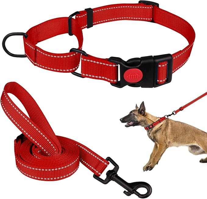 Martingale Dog Collar and Leash Set Martingale Collars for Dogs Reflective Martingale Collar for Small Medium Large Dogs(Red&L)