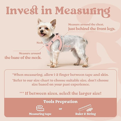 rabbitgoo Small Dog Harness, Step-in Soft Mesh Puppy Vest with Safety Buckle, Breathable Reflective Pet Harness for Extra Small Dogs, Pink XXS