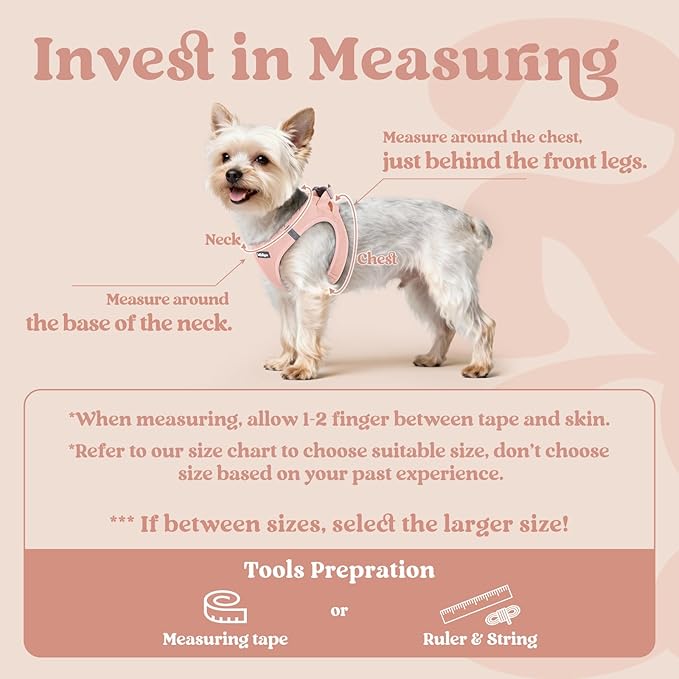 rabbitgoo Small Dog Harness, Step-in Soft Mesh Puppy Vest with Safety Buckle, Breathable Reflective Pet Harness for Small Sized Dogs, Pink S