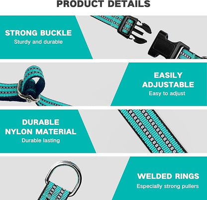 Hikiko Martingale Dog Collars Reflective Nylon Dog Collar with Quick Release Buckle Adjustable Training No Slip Dog Collar (Medium, Turquoise)