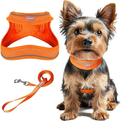 Dog Harness and Leash Set,Step in Small Sized Dog Harness,Soft Mesh,No-Chock,Reflective Adjustable,Secure with Hook & Loop Fastener,Puppy Vest for Small,Medium Dogs(Orange,M)