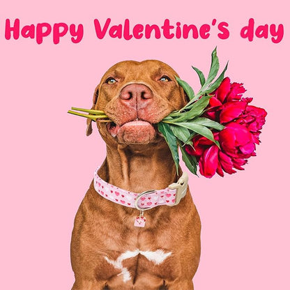 Faygarsle Valentine's Day Dog Collar, Pink with Red and White Hearts Pattern, Adjustable with Quick-Release Buckle and Heart Charm XS