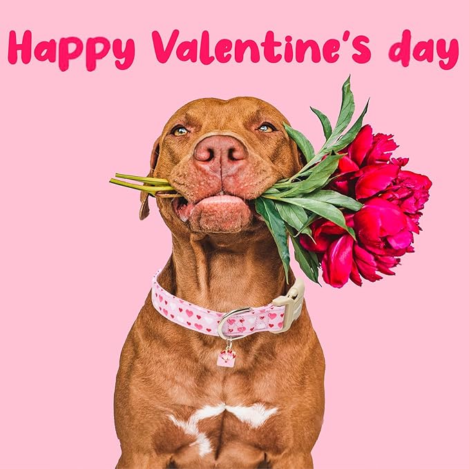 Faygarsle Valentine's Day Dog Collar, Pink with Red and White Hearts Pattern, Adjustable with Quick-Release Buckle and Heart Charm L