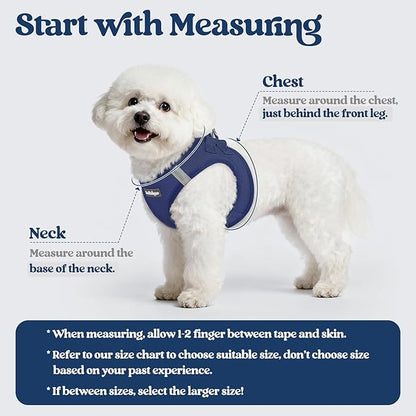 rabbitgoo Dog Harness Small Sized and Leash Set, Step in Soft Light Puppy Vest, Breathable Mesh Pet Harness, Reflective for Safe Outdoor Walking, Navy Blue M