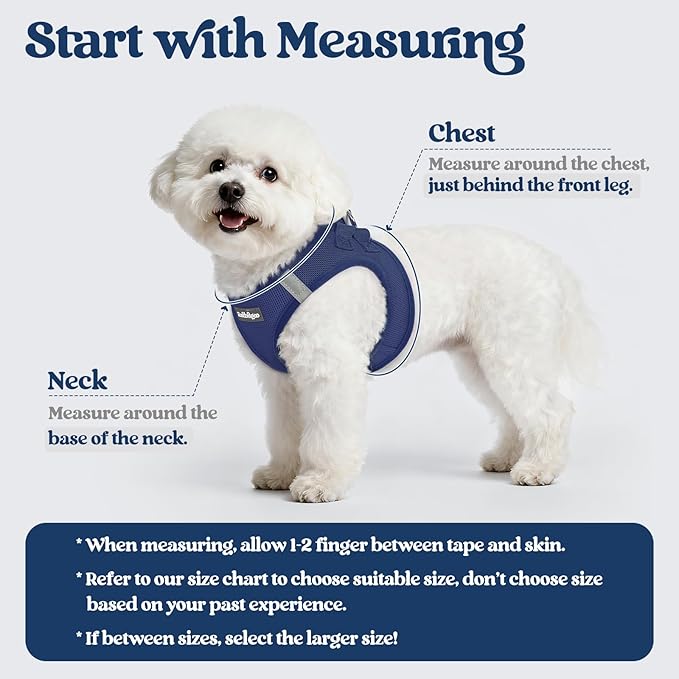 rabbitgoo Dog Harness Small Sized and Leash Set, Step in Soft Light Puppy Vest, Breathable Mesh Pet Harness, Reflective for Safe Outdoor Walking, Navy Blue S