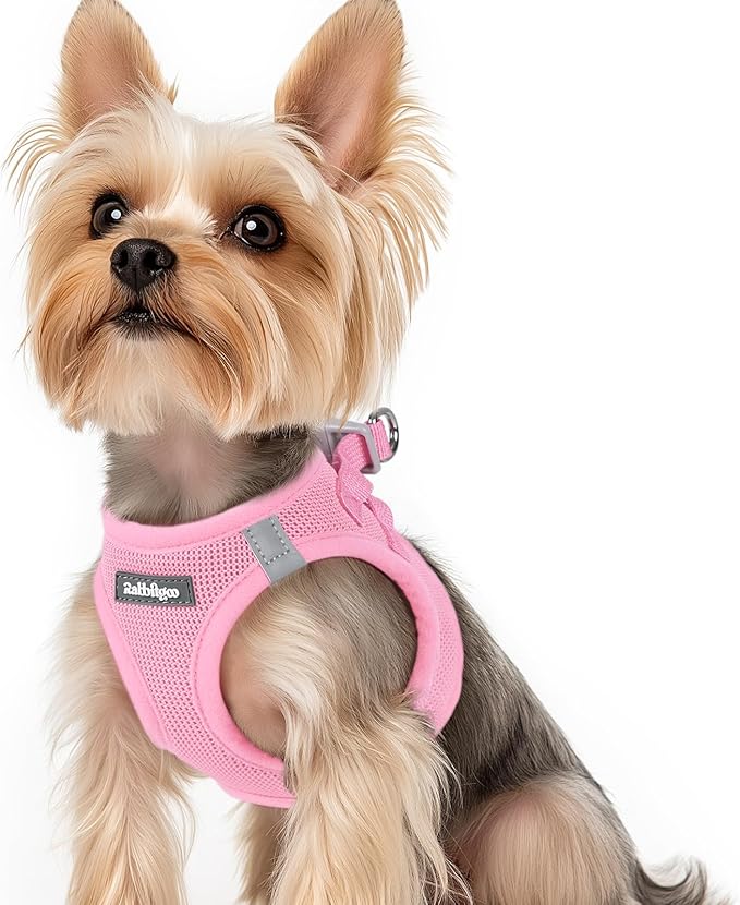 rabbitgoo Small Dog Harness, Step-in Soft Mesh Puppy Vest with Safety Buckle, Breathable Reflective Pet Harness for Small Sized Dogs, Light Pink XS