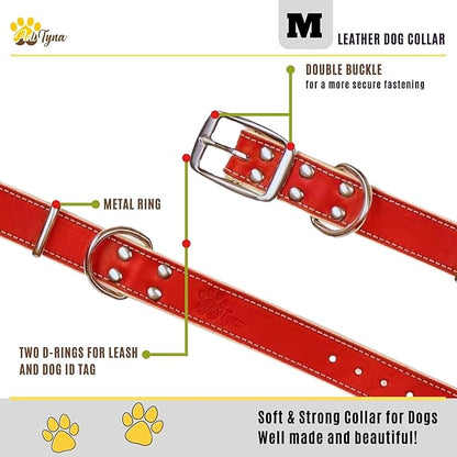 ADITYNA Heavy-Duty Leather Dog Collar for Medium Dogs - Soft Padded for Comfort - Red Dog Collar for Walking, Training, and Hiking