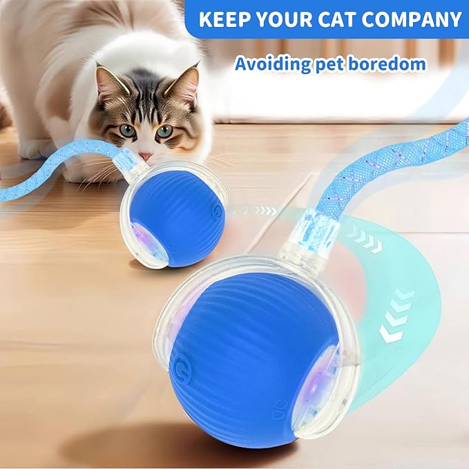 MAXTOOA Interactive Cat Toys for Indoor Cats Smart Automatic Ball Rolling for Bored Kitten Pet Upgraded Speedy Moving Chase Dogs Toy Blue Dragonfly