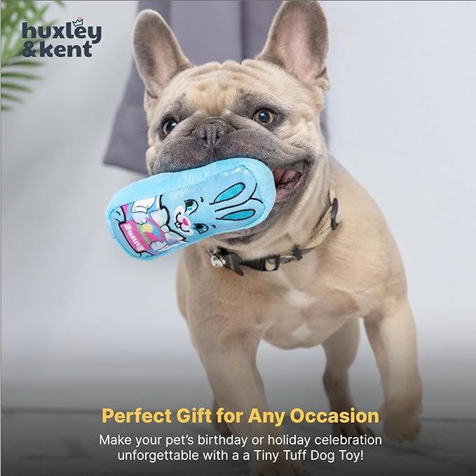Huxley & Kent Funny Dog Toy w/Squeaker – Power Plush Squeaky Dog Toys for Small Dogs – Durable Small Stuffed Animal for Indoor Play & Fetch - Tiny Tuff Funny Bunnies, 2pk