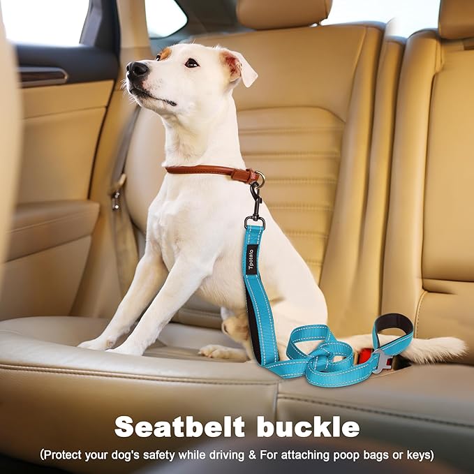 6 Foot Blue Dog Leashes for Large Medium and Small Breed Dogs That Pull,Reflective Nylon Heavy Duty Dog Leash with 2 Comfortable Padded Traffic Handles and Car Seat Belt for Walking and Training