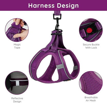 BELLA & PAL Step in Vest Harness for Small and Medium Dogs, No Pull Small Dog Harness with Leash Set, Comfortable Air Mesh Dog Vest Harness with Reflective Strip (Grape Purple, M)