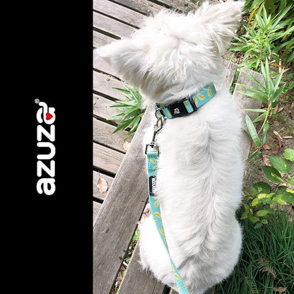 azuza Dog Collar and Leash Set, Cute Patterns on Nylon Collar and Matching Leash, Great Option for Medium Dogs