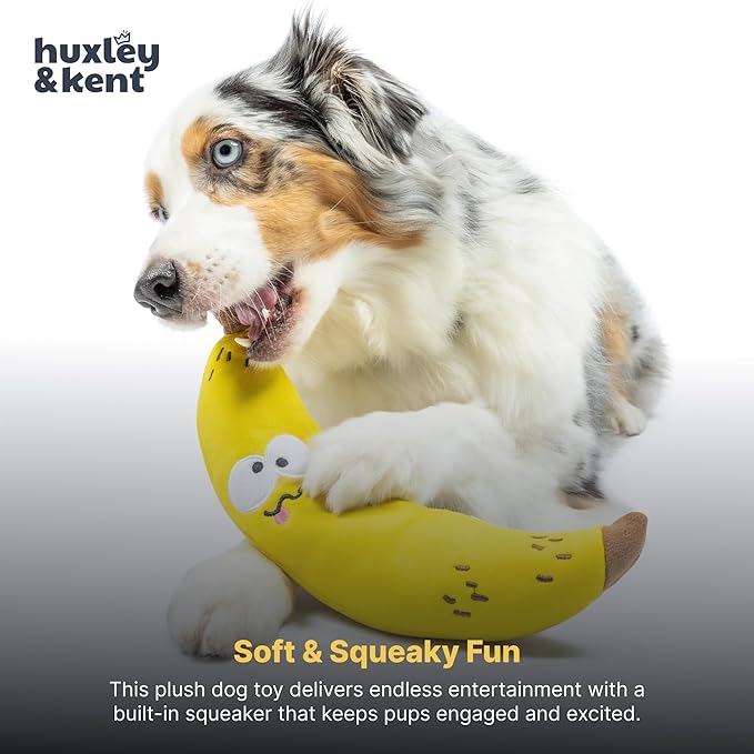 Huxley & Kent Funny Dog Toy w/Squeaker – Power Plush Squeaky Dog Toys for Small, Medium & Large Dogs – Soft Stuffed Animal for Indoor Play & Fetch - Fetchies® Bruiser Banana, Large