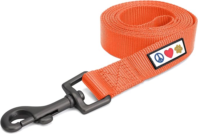 Pawtitas Solid 6 ft Orange Dog Leash M/L Custom Name and Phone Embroidery Strong Nylon Leash for Medium and Large Breeds