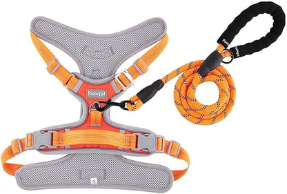 Paawpal Adjustable Dog Harness - No Pull, Reflective, Soft Padded for Small, Medium, Large Dogs - Includes Leash Orange XL