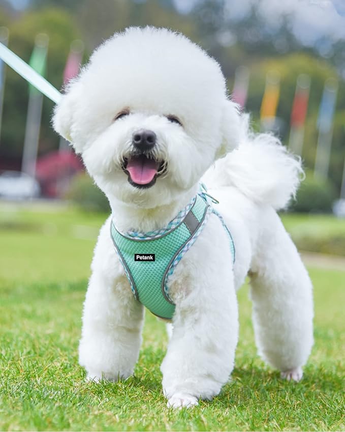 Petank Dog Harness for Small Medium Dogs No Pull, Puppy Harness and Leash Set, Step in Dog Harness for Walking, Running, Training, Small Dog Vest, Medium Dog Vest (Green, M)