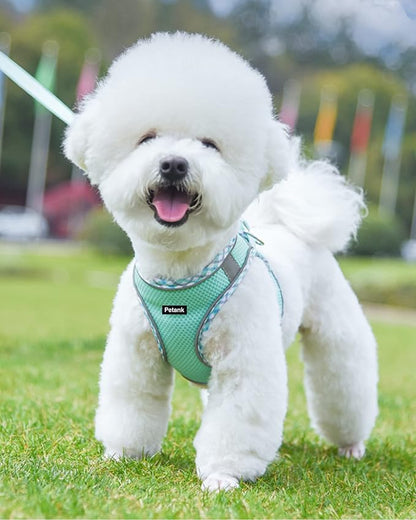 Petank Dog Harness for Small Medium Dogs No Pull, Puppy Harness and Leash Set, Step in Dog Harness for Walking, Running, Training, Small Dog Vest, Medium Dog Vest (Green, M)