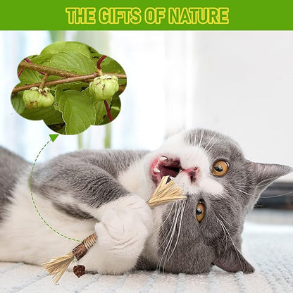 GBSYU 5 Pack Silvervine Cat Toy, Silvervines Sticks Cat Toys for Indoor Cats, Cat & Kitten Chew Toys for Aggressive Chewers, Cat Dental Toy for Kitten Teeth Cleaning, Matatabi Silvervine for Cats