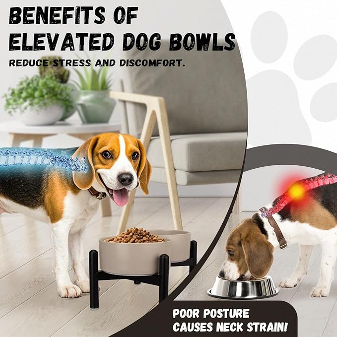 Raised Ceramic Dog Bowl Set - Elevated Double Dishes with Stainless Steel Stand - Food and Water Bowls for Small to Medium Dogs - Each Holds 2 Cups (28.75 fl oz) - Grey