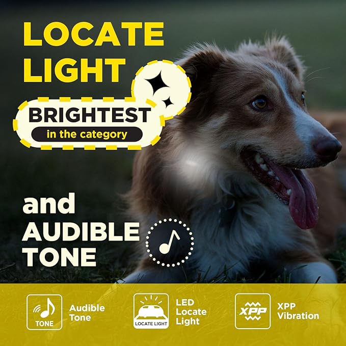 Dogtra 200iQ Remote Training E Collar – 100 Levels, Tone, Vibration, 1/2 Mile Range – Compact, Waterproof, One-Handed Control for Dogs 10 lbs+ – Lightweight Design for Daily Training – Organic Stone