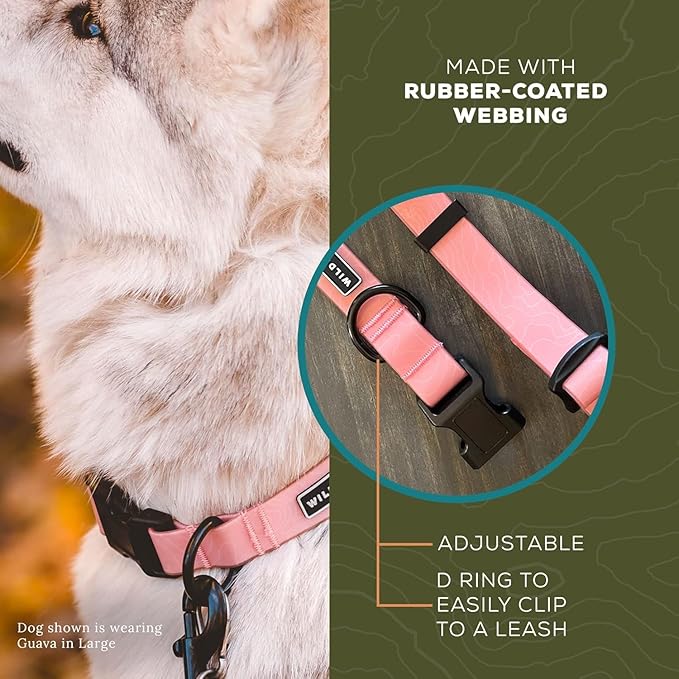 Wilderdog Waterproof Dog Collar - Repels Water & Dirt - Small 11"-15" - Guava