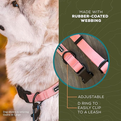 Wilderdog Waterproof Dog Collar - Repels Water & Dirt - Medium 13"-18" - Guava