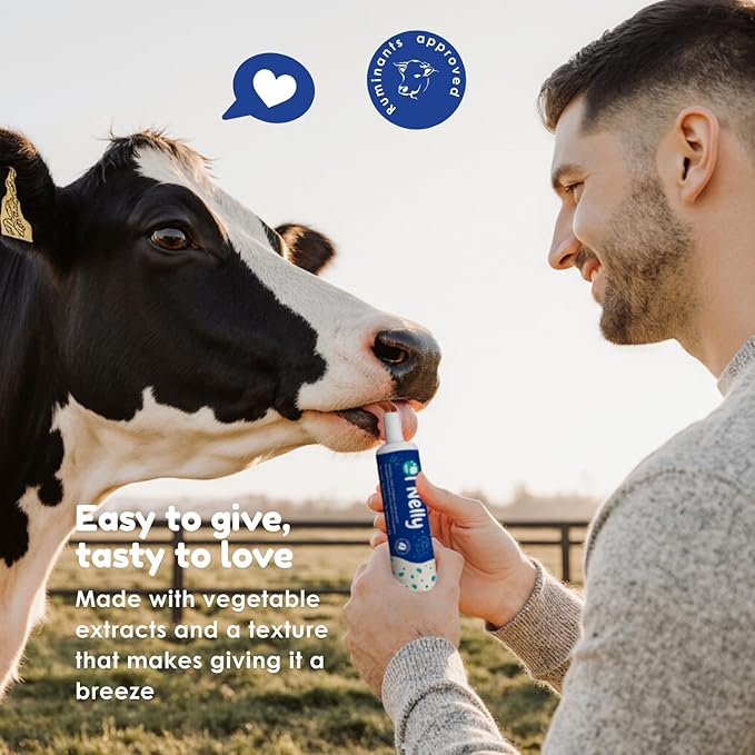 Ruminants Pre and Probiotic Paste (80g)- Pre and Probiotics with Vitamins and Minerals- 6 Strains and 8 Billion CFU- Immune and Gastro Health Support for All Ruminants: Bovines, Goats & More