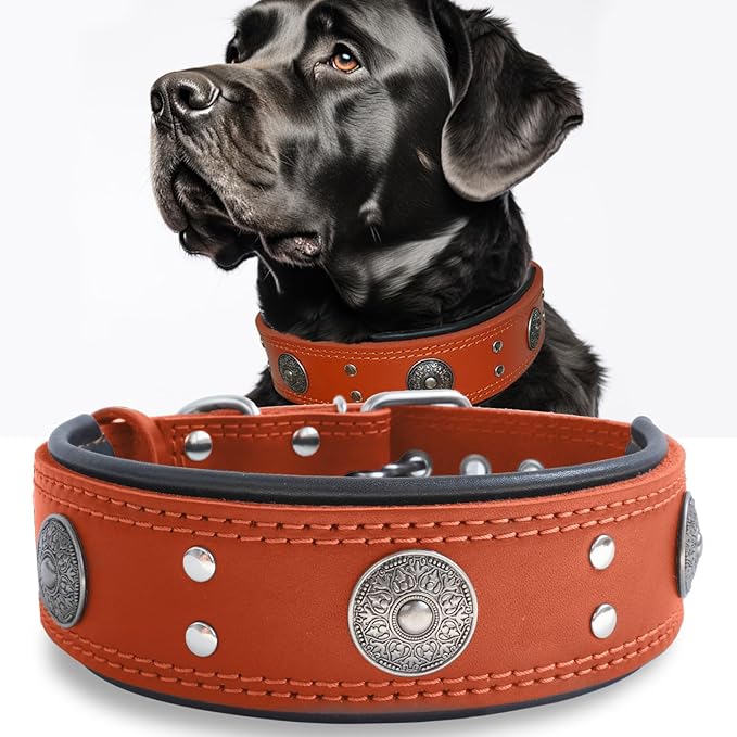 Leather Dog Collar, 2 inches Wide Heavy Duty Genuine Leather Collars, Handmade, Soft, and Luxury, Eye-catching Best Choice for Large and Medium Breed Dogs, Orange 15-19 ins