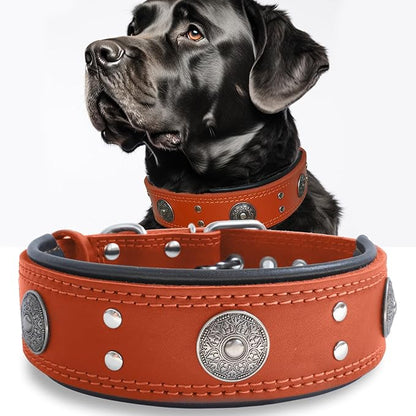 Leather Dog Collar, 2 inches Wide Heavy Duty Genuine Leather Collars, Handmade, Soft, and Luxury, Eye-catching Best Choice for Large and Medium Breed Dogs, Orange 15-19 ins