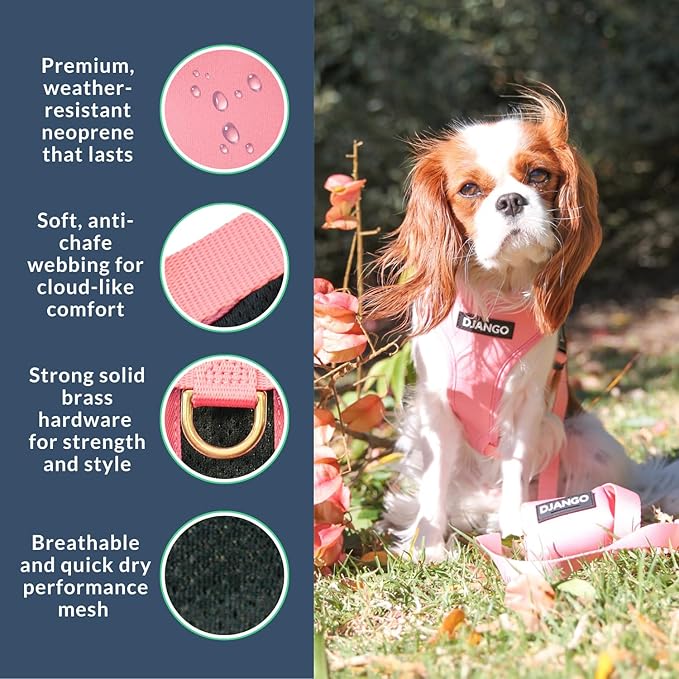 DJANGO Adventure Dog Harness - Stylish, and Durable Small Dog Harness for Outdoor Adventures and Everyday Wear - Quartz Pink Neoprene Adjustable Harness for Dogs with Reflective Piping, Brass D-Ring