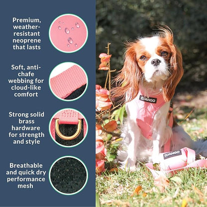 DJANGO Adventure Dog Harness - Stylish, and Durable Small Dog Harness for Outdoor Adventures and Everyday Wear - Quartz Pink Neoprene Adjustable Harness for Dogs with Reflective Piping, Brass D-Ring