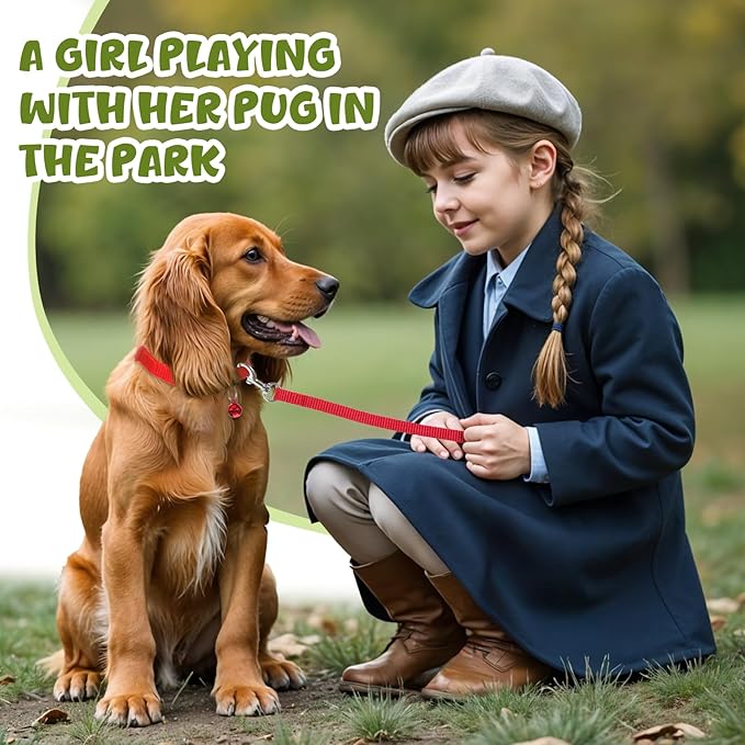 48 Pcs Puppy Collar and Leash Set, Adjustable Dog Collars with Hook and Quick Release Clip Buckle for Medium Dogs Small Pet Puppy Walking Training (Multicolor, Solid Pattern)
