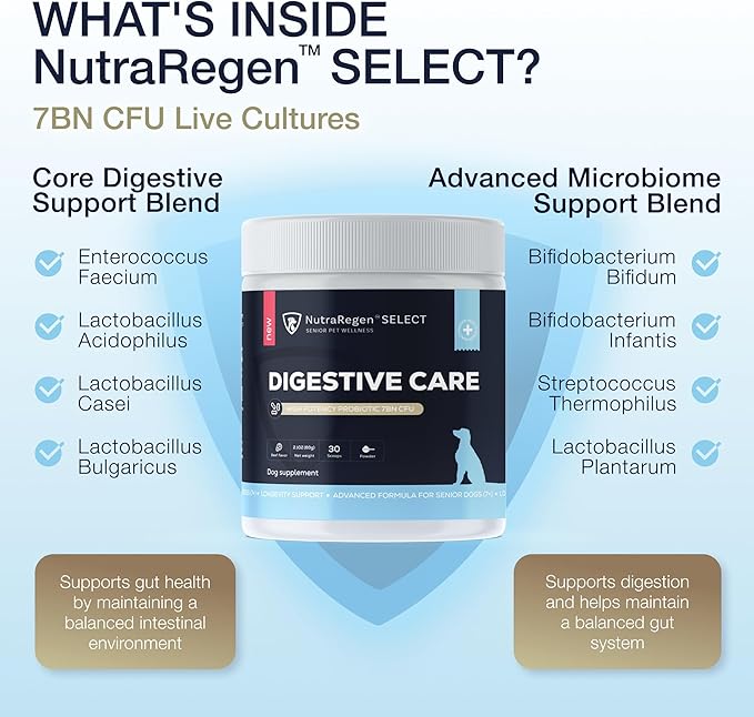 Select Digestive Senior Dog Probiotic Powder 30 Scoops | Beef Flavored Dog Probiotics for Digestive Health, Supports Gut Health, Scratching, Itchy & Dry Skin, Allergies 2.1 Oz | 7 Bn CFU