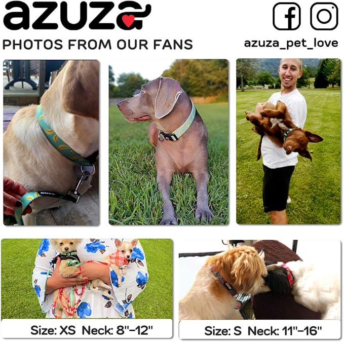 azuza Dog Collar and Leash Set, Cute Patterns on Nylon Collar and Matching Leash, Great Option for Medium Dogs