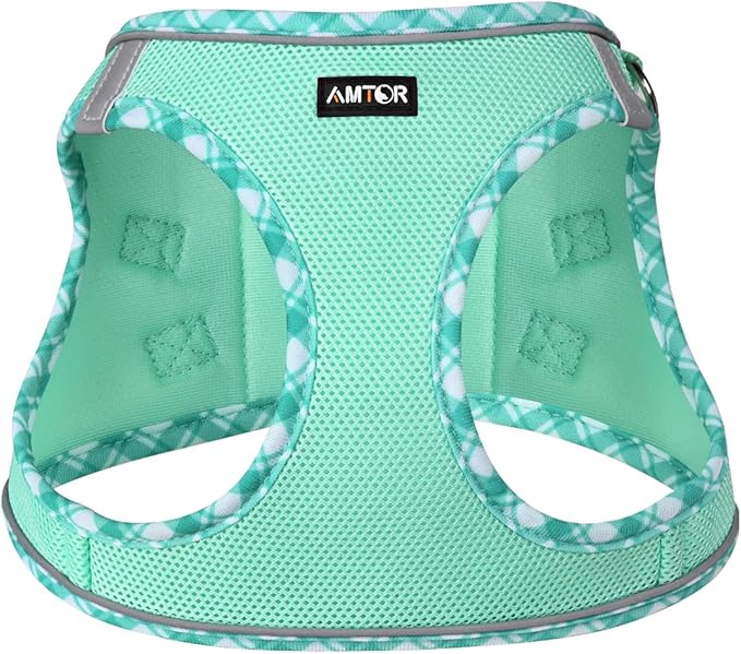 AMTOR Small Dog Harness with Leash Set, No Escape Easy Walk Puppy Harnesses for Training Walking, Step-in Reflective Soft Dogs Vest for XS S Medium Extra-Small Large Sized Dog(Green,XL)