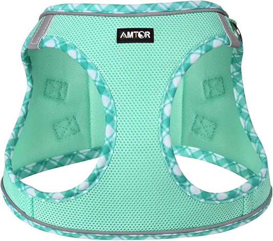AMTOR Small Dog Harness with Leash Set, No Escape Easy Walk Puppy Harnesses for Training Walking, Step-in Reflective Soft Dogs Vest for XS S Medium Extra-Small Large Sized Dog(Green,XL)
