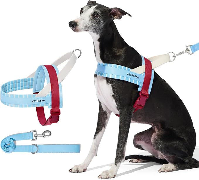 VETRESKA Dog Harness No Pull, Easy Control No Choke Dog Harness Collar for Large, Medium Size Dogs, Adjustable Dog Vest, Easy Walk Pet Vest Harness with Heavy Duty Anti-Twist Dog Leash, Misty Melo L