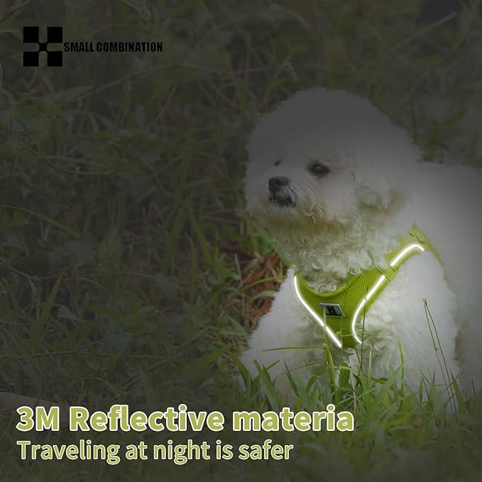 Adjustable Dog Harness with Leash, Reflective Mesh, No-Pull Design，Matching Lead Rope (Lemon Yellow, XXXS)