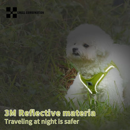 Adjustable Dog Harness with Leash, Reflective Mesh, No-Pull Design，Matching Lead Rope (Lemon Yellow, XXXS)